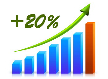    20%